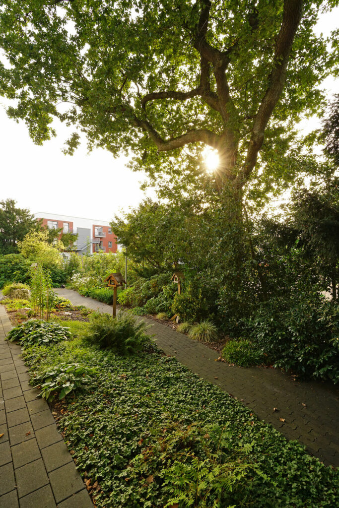 Blick auf den Garten vom Hof